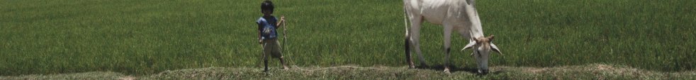 long